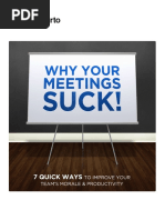 Why Your Meetings Suck PDF