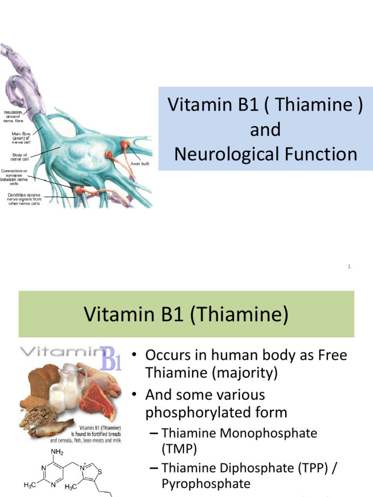 Vitamin B1 Nervous System Physiology Free 30day Trial Scribd