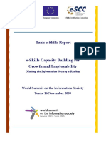 Tunis E-Skills Report