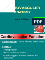 Cardiovasculer Anatomy: Andi Silfiana