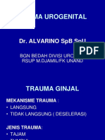 Trauma Urogenital