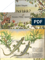 Ki Hol Lakik PDF