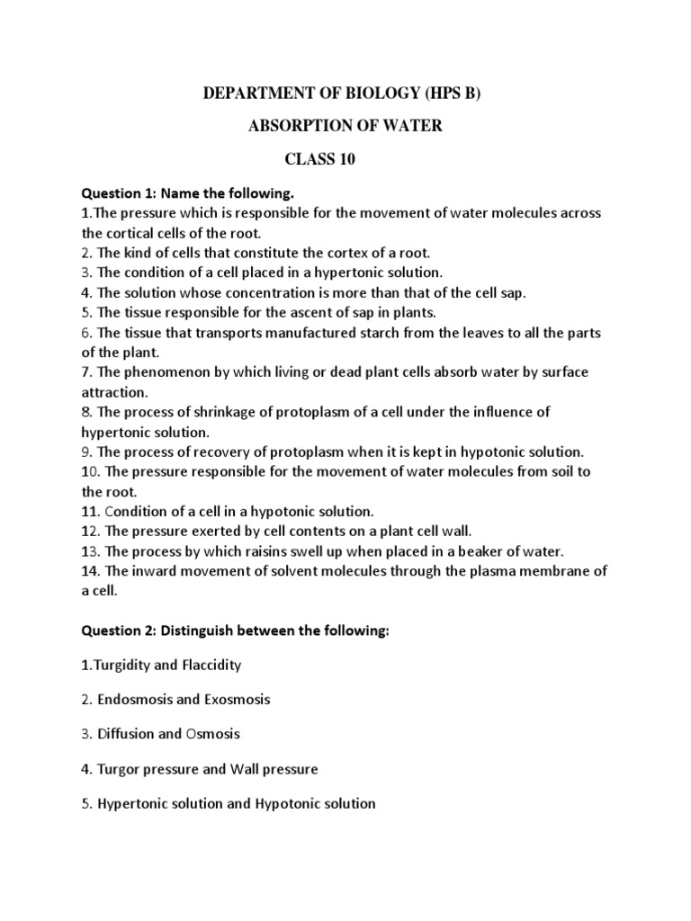 Absorption Worksheet Osmosis Cell Biology