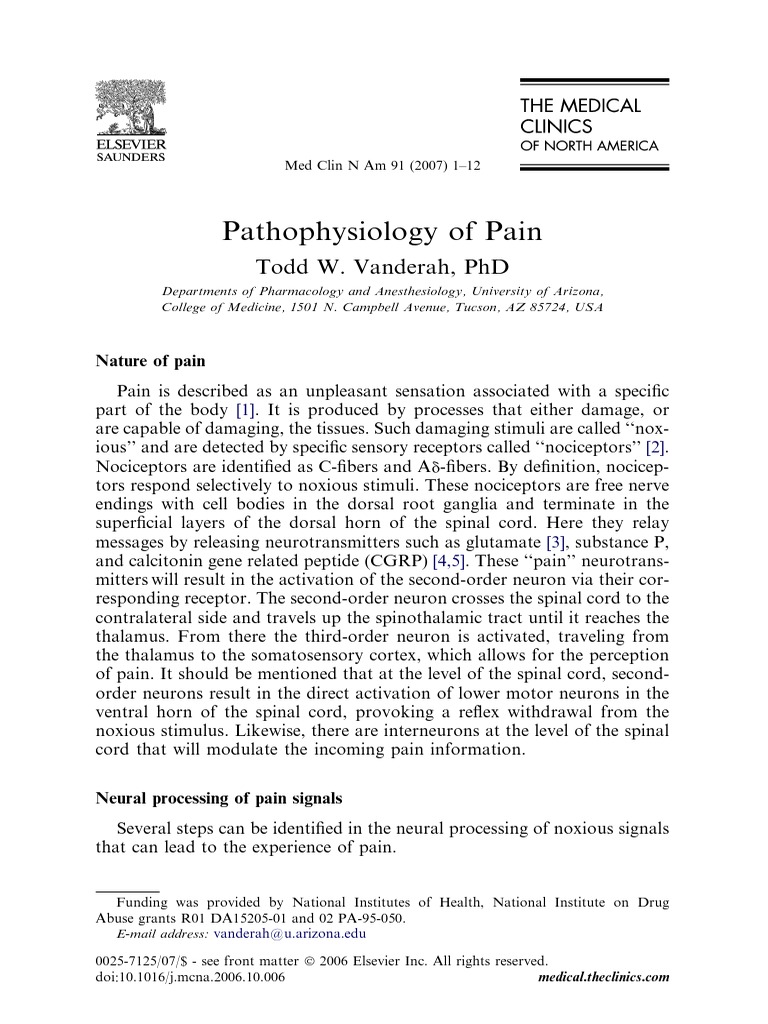 Pain Pathophysiology | PDF | Stimulus (Physiology) | Nervous System