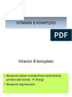 Vitamin b Kompleks