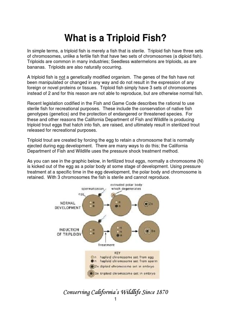 What is Triploid Fish Organisms Biological Processes