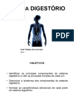 S-DIGESTORIO-2013.pdf