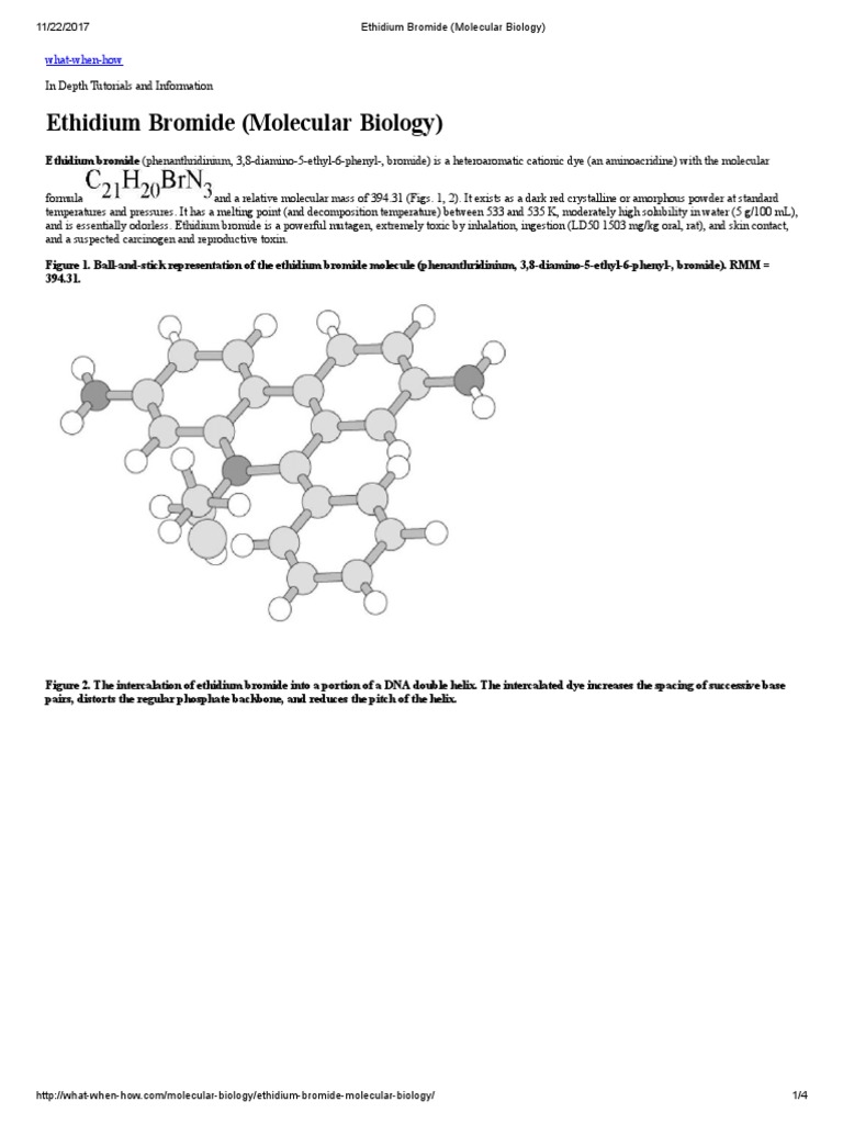 Ethidium Bromide (Molecular Biology) PDF | PDF | Fluorescence | Dna