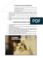 Descripción de Los Gatos Domésticos