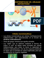 Clases de Cultivo de Tejidos 2017 Cp Unidad 2b