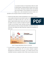 Fundamento Teorico Laboratorio