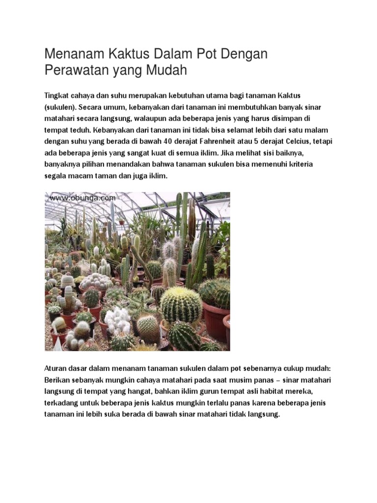 Jenis  Tanaman  Yang  Tidak  Membutuhkan  Banyak  Sinar  Matahari    Jenis  Tanaman  Yang  Tidak  Membutuhkan  Banyak  Sinar  Matahari