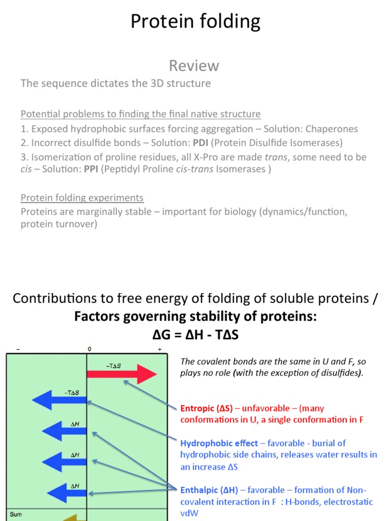 Protein Folding and Disorder Insights | PDF | Protein Folding | Proteins