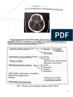 Etiologia de Los Síndromes Neuropsicológicos