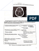 Etiologia de los síndromes neuropsicológicos.pdf