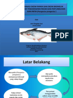 Presentation 3