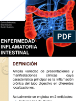 enfermedadinflamatoriaintestinal-131104124904-phpapp02