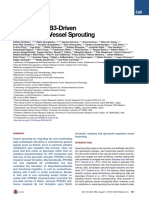 Role of PFKFB3-Driven Glycolysis in Vessel Sprouting