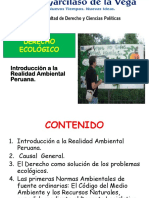 Clase 5A Derecho Ambiental Introdu Realida Ambien 2018 (1)