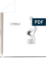 Rodilla.pdf