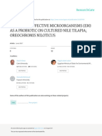 The Use of Effective Microorganisms (Em) As A Probiotic On Cultured Nile Tilapia Oreochromis Niloticus