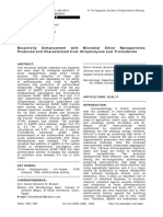 Bioactivity Enhancement With Microbial Silver Nanoparticles and Produced and Characterized From Streptomyces and Trichoderma