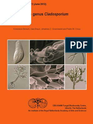 Helminthosporium echinulatum, Fito2 - Free Download PDF - Helminthosporium echinulatum