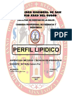 PERFIL LIPIDICO.docx