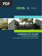 Caderno Aluno