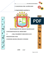 Imprimir Contaminacion Del Mercurio