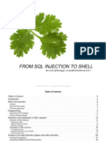 from_sqli_to_shell.pdf