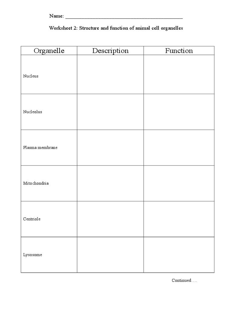 Organelle Structure and Function Print | PDF