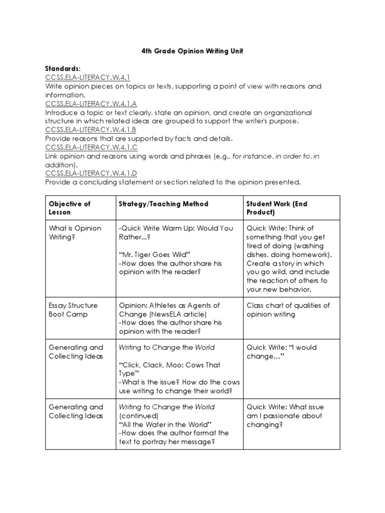 4th grade opinion essay outline