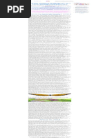 Safari - 9 de Jan de 2018 00:42