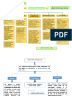 GRUPO 3-Determinacion de La Oxidacion - Enzimas