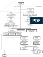 Organigrama Nuevo