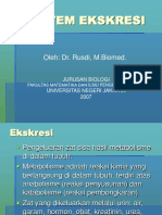 Sistem Ekskersi-Ginjal