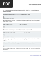 Nouns and Pronouns Exercise