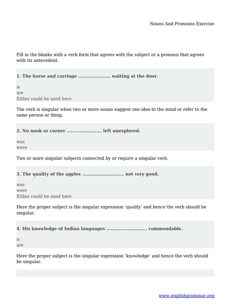 Nouns and Pronouns Practice Exercise | PDF | Grammatical Number | Pronoun