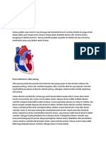 MEKANISME SIKLUIS JANTUNG