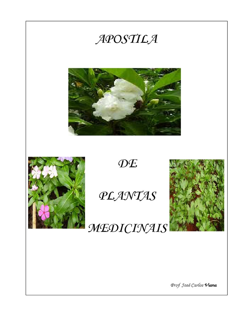 Flores Medicinais PDF | PDF | Solo | Remédio