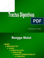 Kuliah 2. Tractus Digestivus - Blok X