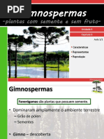 V 3gimnospermas 110518142423 Phpapp02