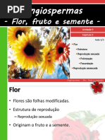 V 5angiospermas Florfrutoesemente 110814212252 Phpapp01