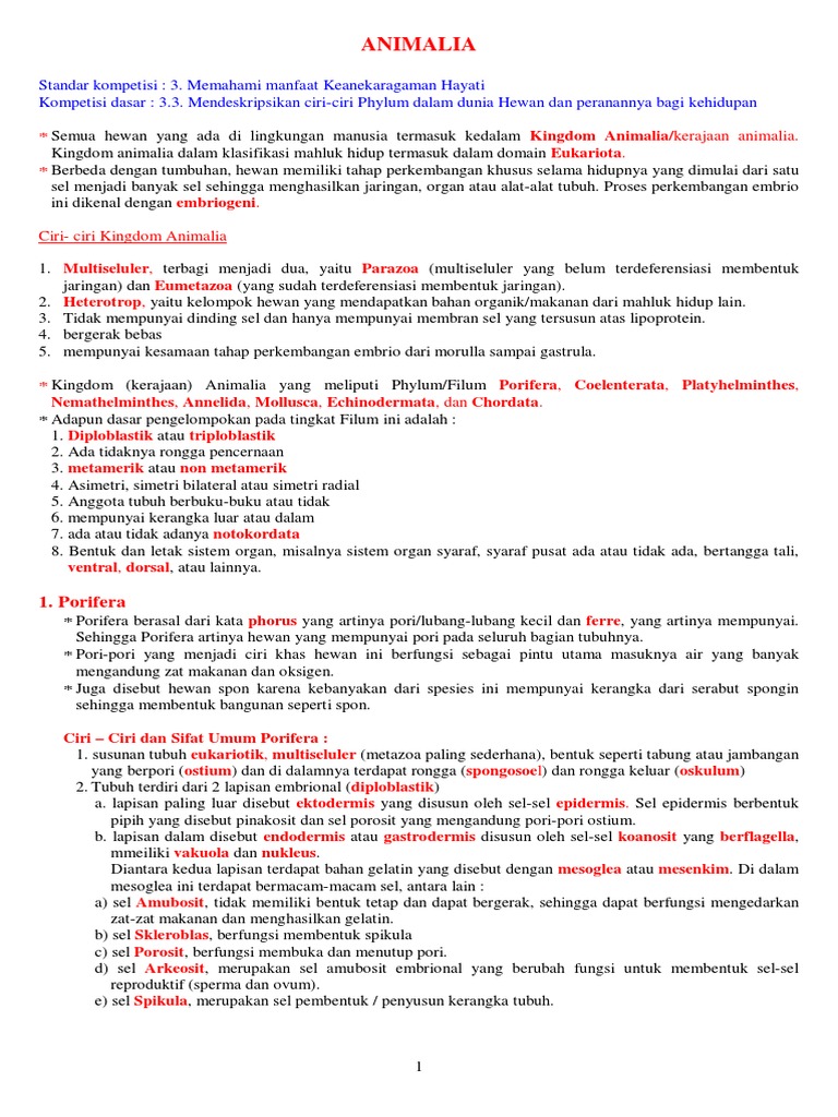 Bagaimana Ciri Ciri Umum Kingdom Animalia - Ini Cirinya