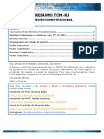 direito const.pdf