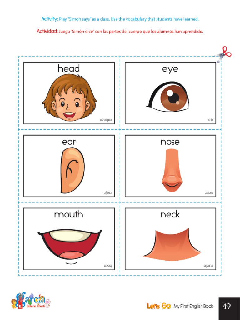 printable-body-parts-flashcards