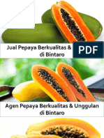 Toko Pepaya Berkualitas & Unggulan Di Bintaro