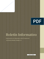 Boletin Informativo - Seguridad