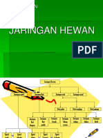 Jaringan Hewan